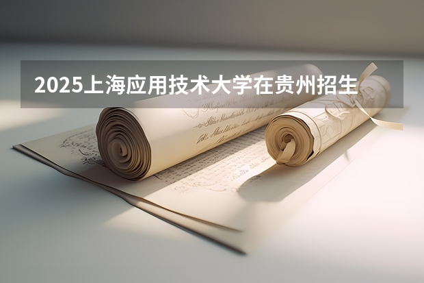 2025上海应用技术大学在贵州招生计划一览表