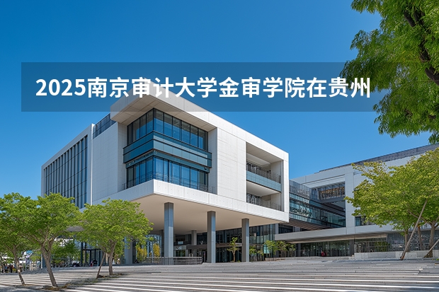 2025南京审计大学金审学院在贵州招生计划一览表
