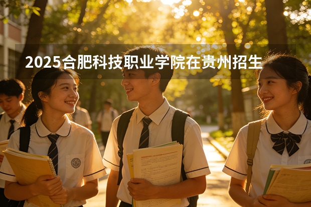 2025合肥科技职业学院在贵州招生计划一览表