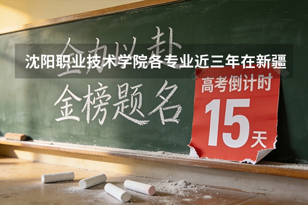 沈阳职业技术学院各专业近三年在新疆招生人数 学费多少钱