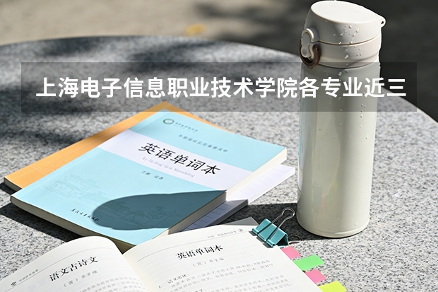 上海电子信息职业技术学院各专业近三年在山东招生人数 学费多少钱