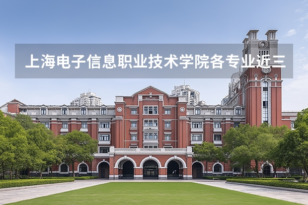 上海电子信息职业技术学院各专业近三年在海南招生人数 学费多少钱