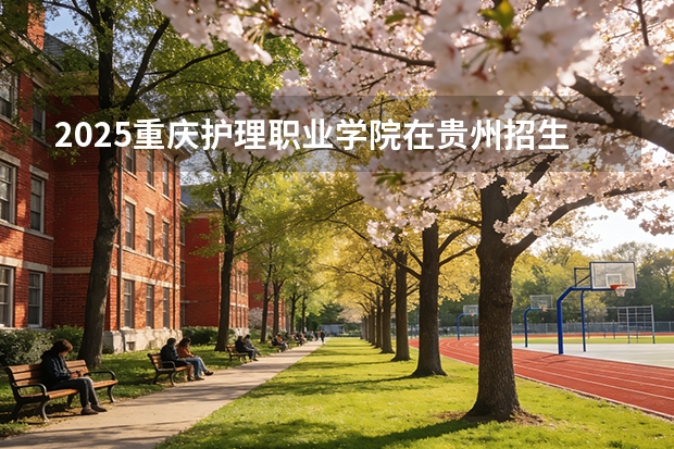 2025重庆护理职业学院在贵州招生计划一览表
