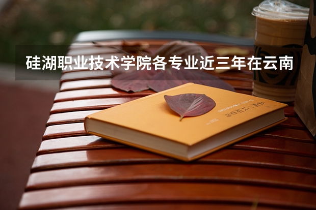 硅湖职业技术学院各专业近三年在云南招生人数 学费多少钱