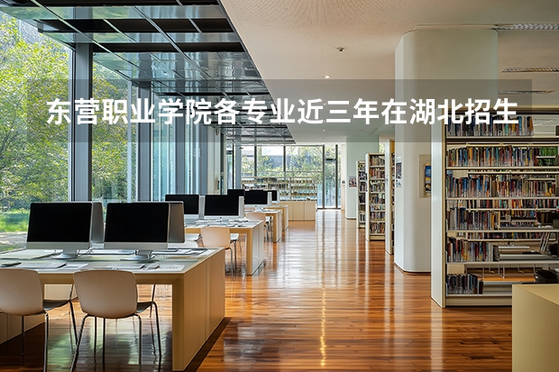 东营职业学院各专业近三年在湖北招生人数 学费多少钱
