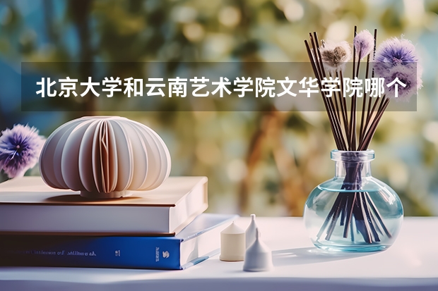 北京大学和云南艺术学院文华学院哪个好 历年录取分数线是多少