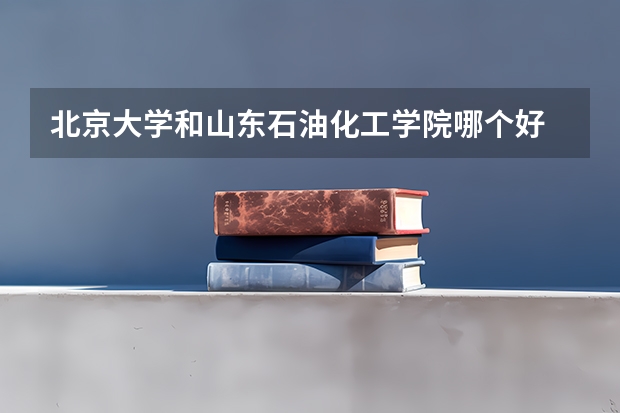 北京大学和山东石油化工学院哪个好 历年录取分数线是多少