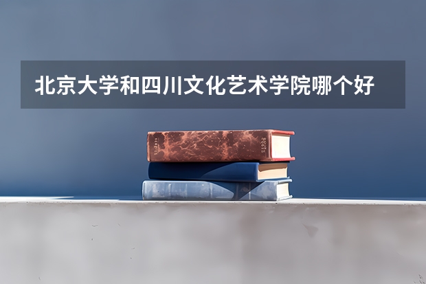 北京大学和四川文化艺术学院哪个好 历年录取分数线是多少