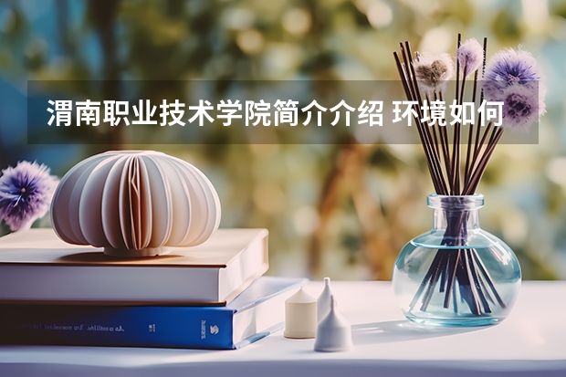 渭南职业技术学院简介介绍 环境如何