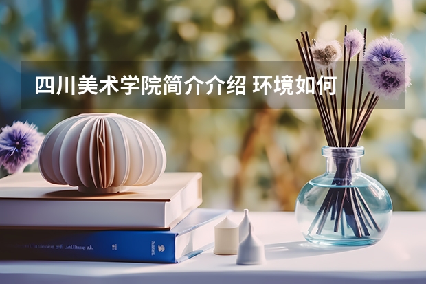四川美术学院简介介绍 环境如何