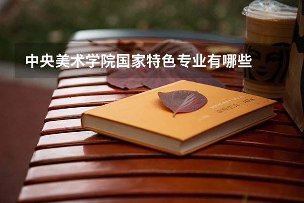 中央美术学院国家特色专业有哪些