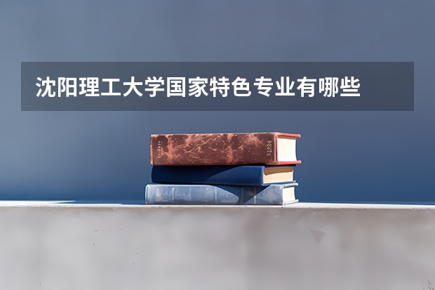 沈阳理工大学国家特色专业有哪些