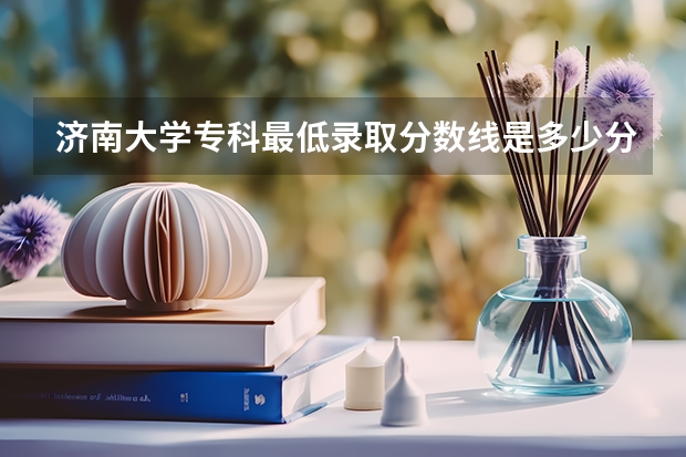 济南大学专科最低录取分数线是多少分呢？