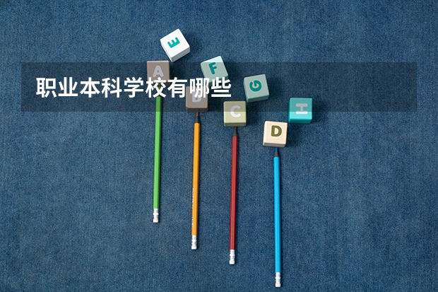 职业本科学校有哪些