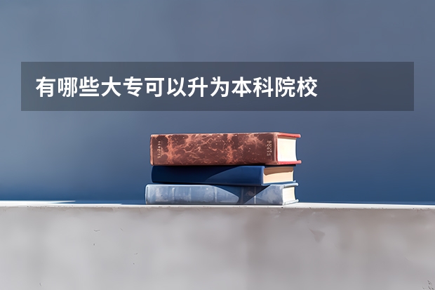 有哪些大专可以升为本科院校