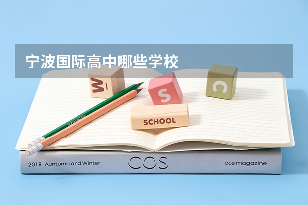 宁波国际高中哪些学校