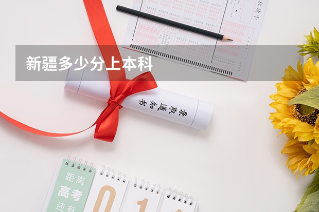 新疆多少分上本科