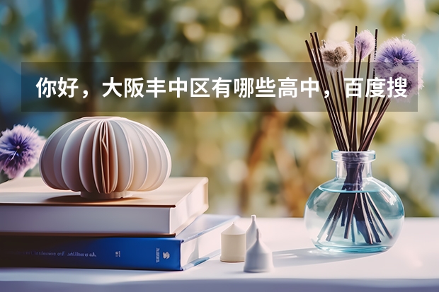 你好，大阪丰中区有哪些高中，百度搜不到