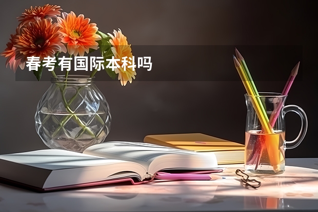 春考有国际本科吗