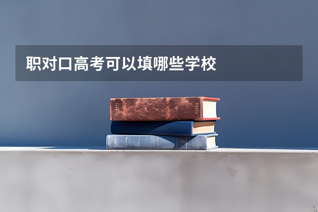 职对口高考可以填哪些学校