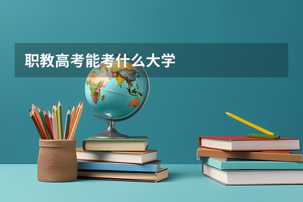 职教高考能考什么大学