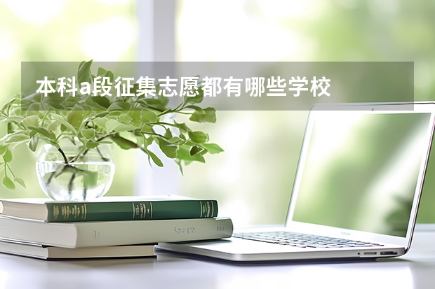 本科a段征集志愿都有哪些学校