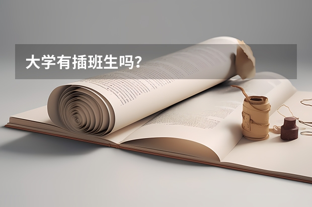 大学有插班生吗？