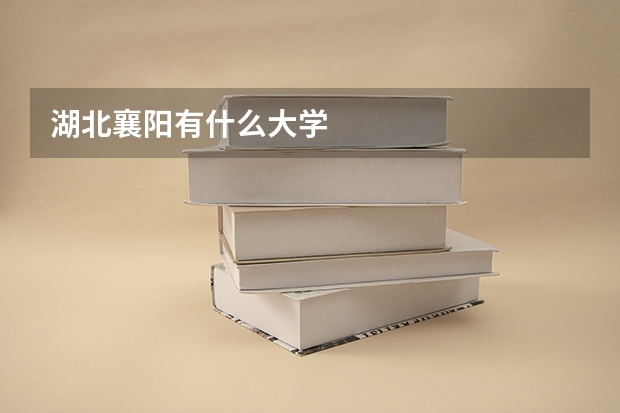 湖北襄阳有什么大学