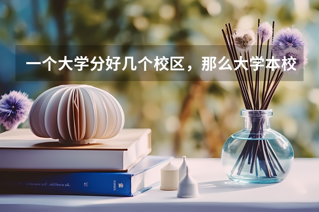一个大学分好几个校区，那么大学本校与其他校区有什么区别吗？