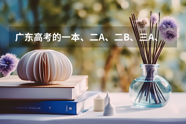 广东高考的一本、二A、二B、三A、三B是什么意思？