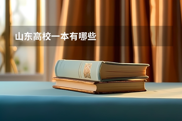 山东高校一本有哪些
