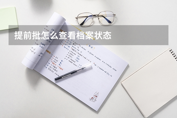 提前批怎么查看档案状态