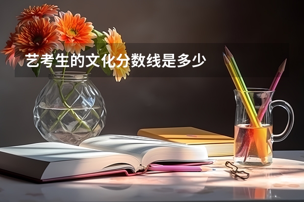 艺考生的文化分数线是多少