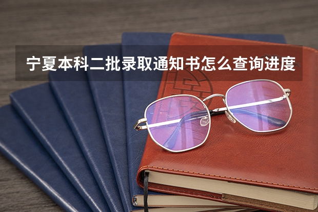 宁夏本科二批录取通知书怎么查询进度