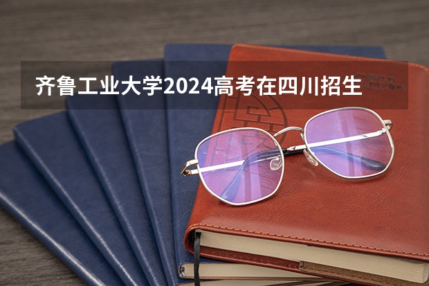 齐鲁工业大学2024高考在四川招生计划