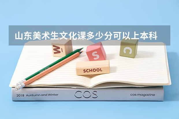 山东美术生文化课多少分可以上本科