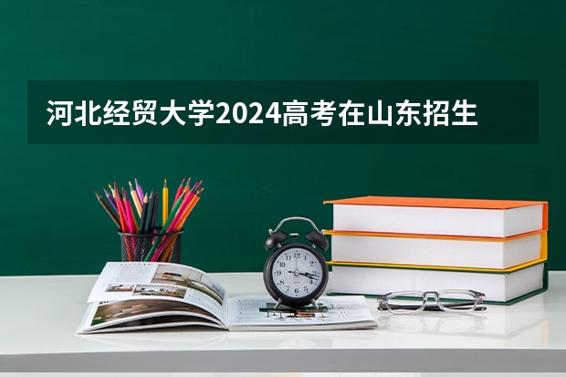 河北经贸大学2024高考在山东招生计划