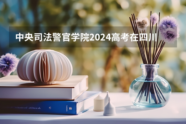 中央司法警官学院2024高考在四川招生计划
