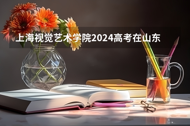 上海视觉艺术学院2024高考在山东招生计划