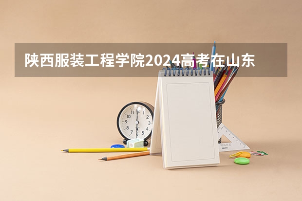 陕西服装工程学院2024高考在山东招生计划