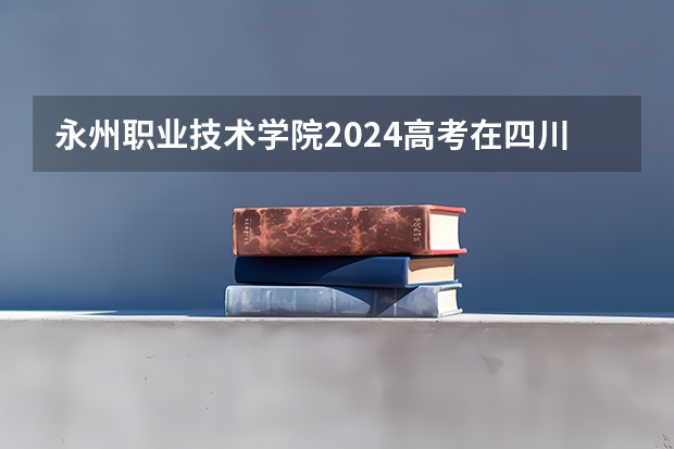永州职业技术学院2024高考在四川招生计划