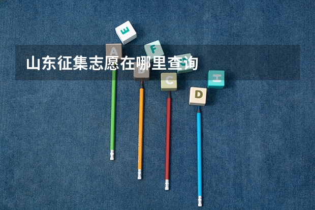 山东征集志愿在哪里查询