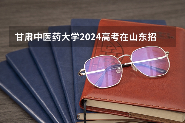 甘肃中医药大学2024高考在山东招生计划