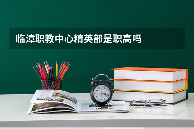 临漳职教中心精英部是职高吗