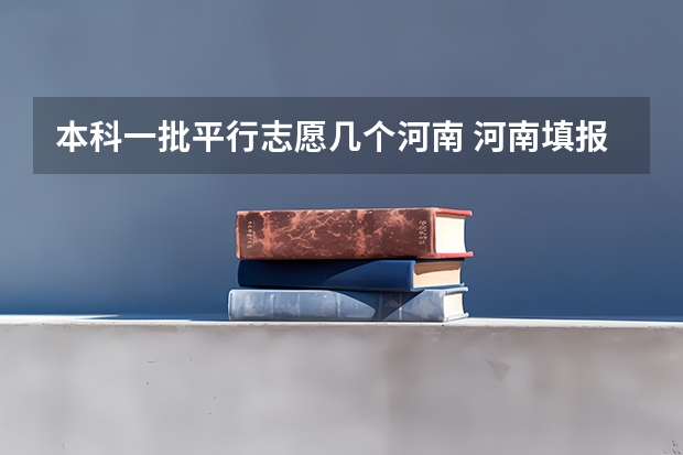 本科一批平行志愿几个河南 河南填报志愿可以填几个学校