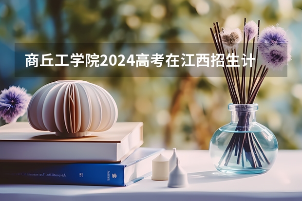 商丘工学院2024高考在江西招生计划
