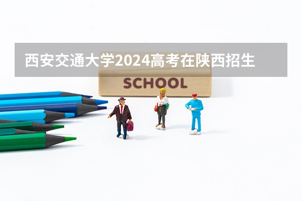 西安交通大学2024高考在陕西招生计划