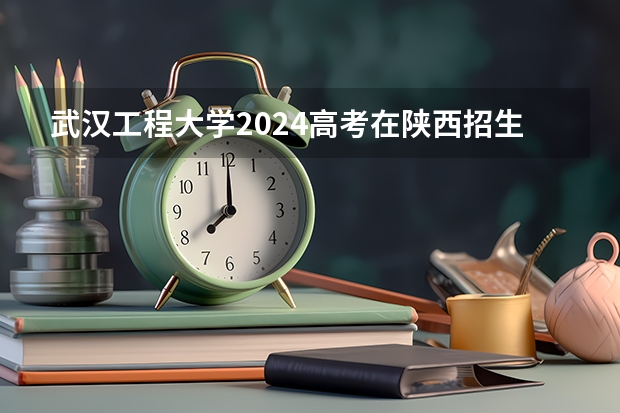 武汉工程大学2024高考在陕西招生计划