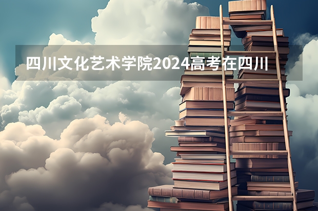 四川文化艺术学院2024高考在四川招生计划