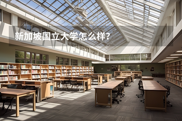 新加坡国立大学怎么样？